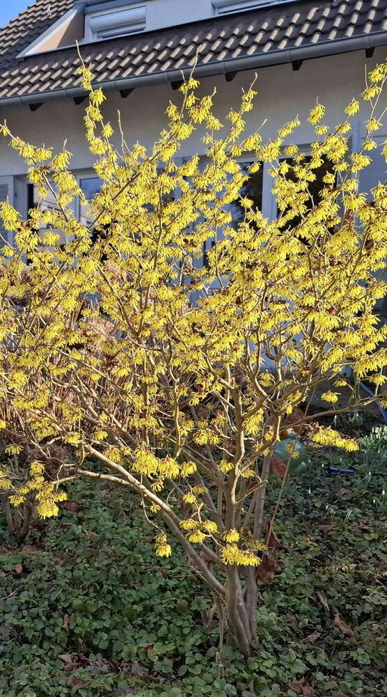 Bild von Rheinlandliving Bild von Rheinlandliving