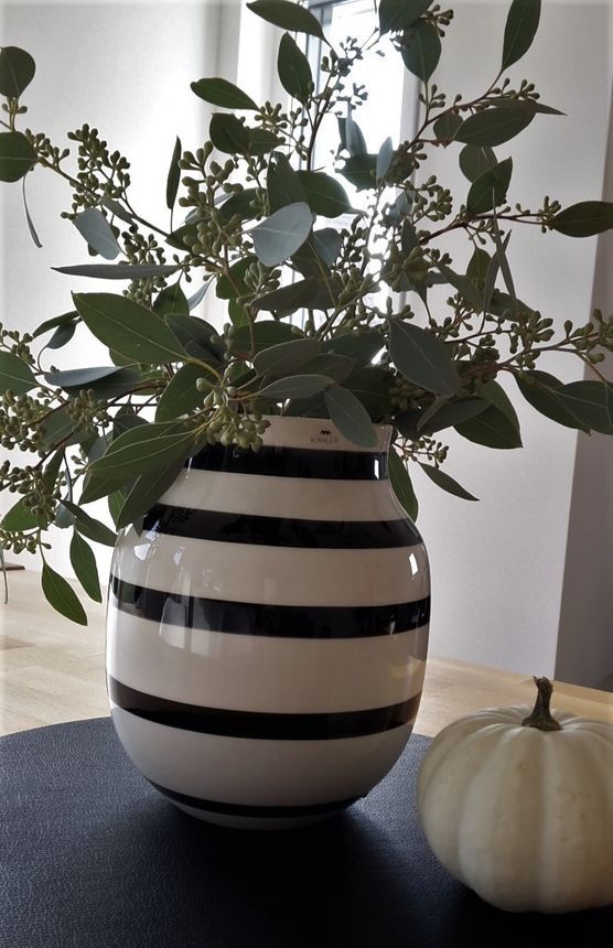 Eukalyptus & Baby Boo Eukalyptus & Baby Boo