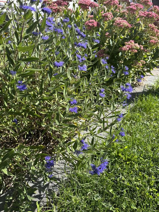 Bild von Wo wir zuhause sind Bild von Wo wir zuhause sind