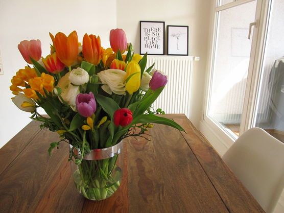 Frühlingsgruß Frühlingsgruß