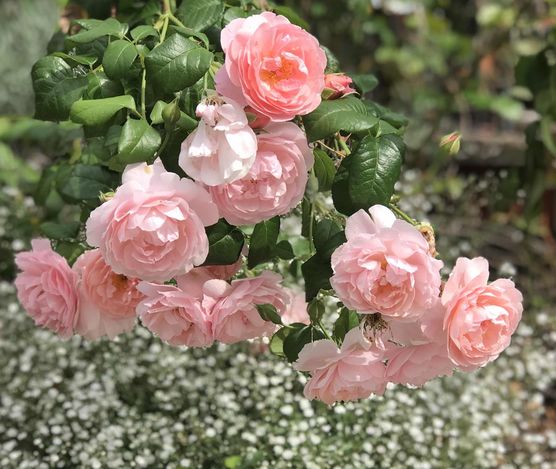 Bild von Ulli Bonki Bild von Ulli Bonki