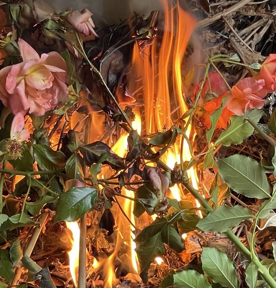 Wir haben am Haus Wir haben am Haus