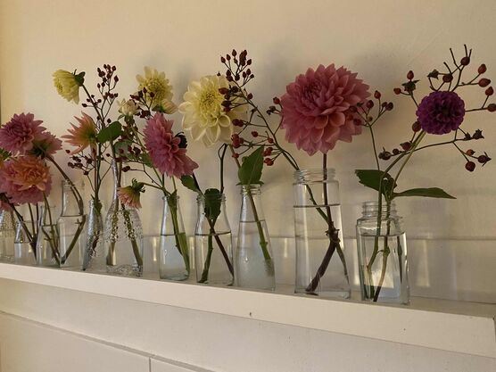 Bild von Himmel66 Bild von Himmel66