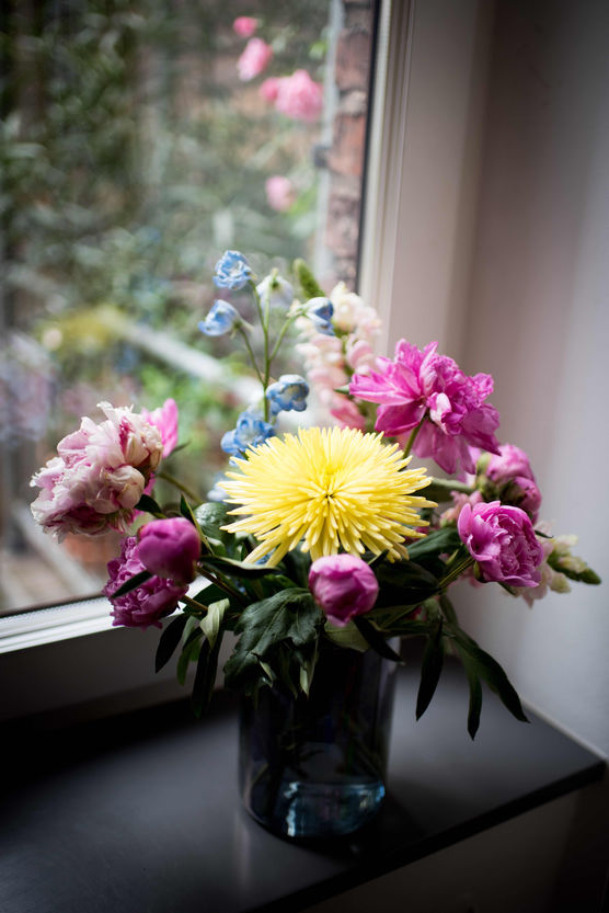 Bild von Burgsonworld Bild von Burgsonworld