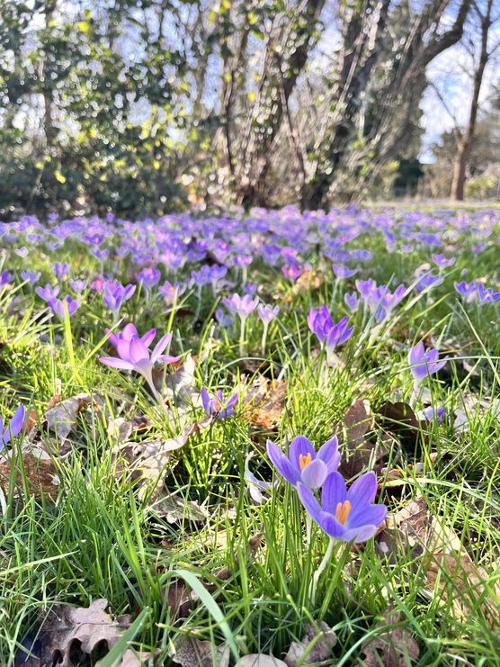 Bild von Anno1914 Bild von Anno1914