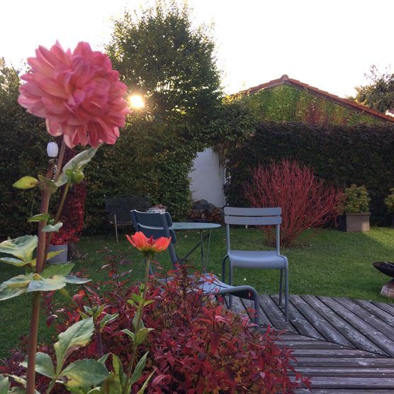 Die letzten Sonnenstrahlen Die letzten Sonnenstrahlen