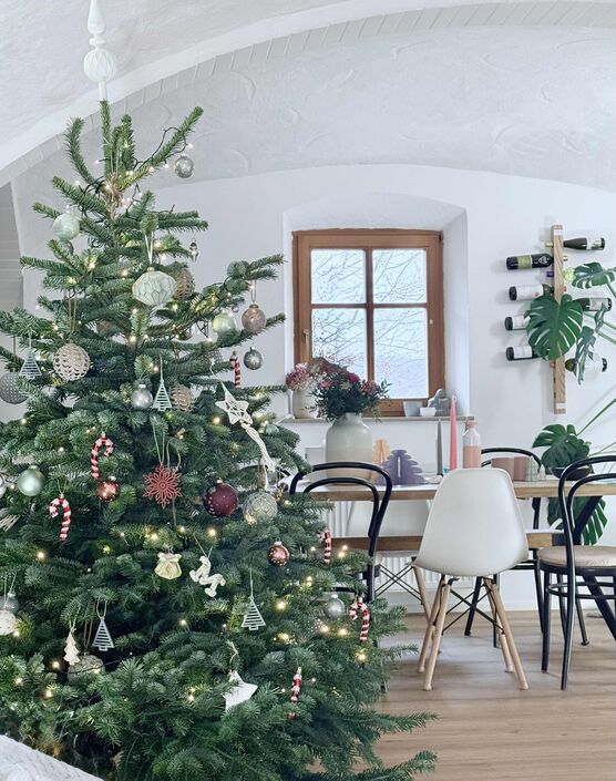 Bild von HAUS_1858 Bild von HAUS_1858