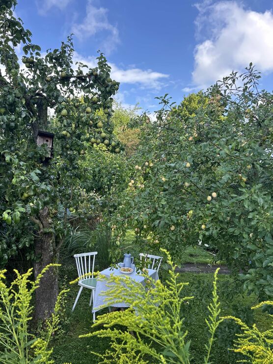 Bild von my_shimmering_spot Bild von my_shimmering_spot