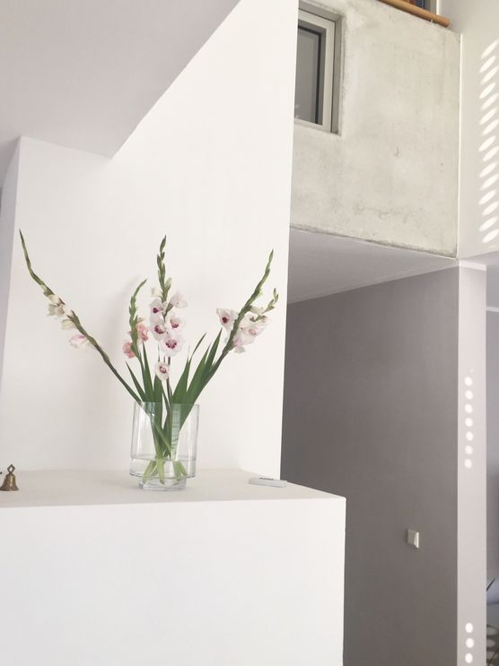 Gladiolenzeit ❤️ Gladiolenzeit ❤️