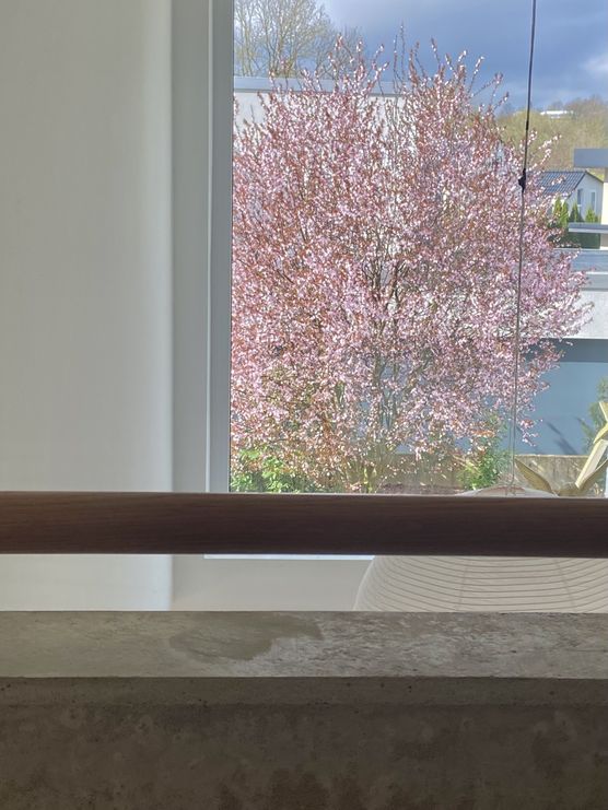 - Blutpflaume - - Blutpflaume -