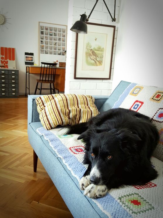 Gemütlicher Start ins Wochenende Gemütlicher Start ins Wochenende