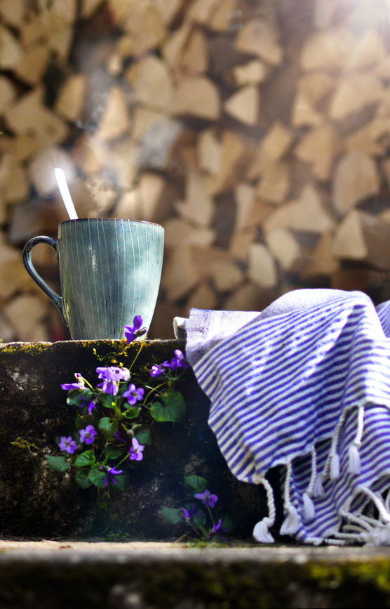 ❉ Alle Jahre ❉ ❉ Alle Jahre ❉