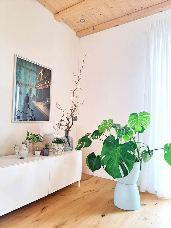 Bild von petit_bijou Bild von petit_bijou