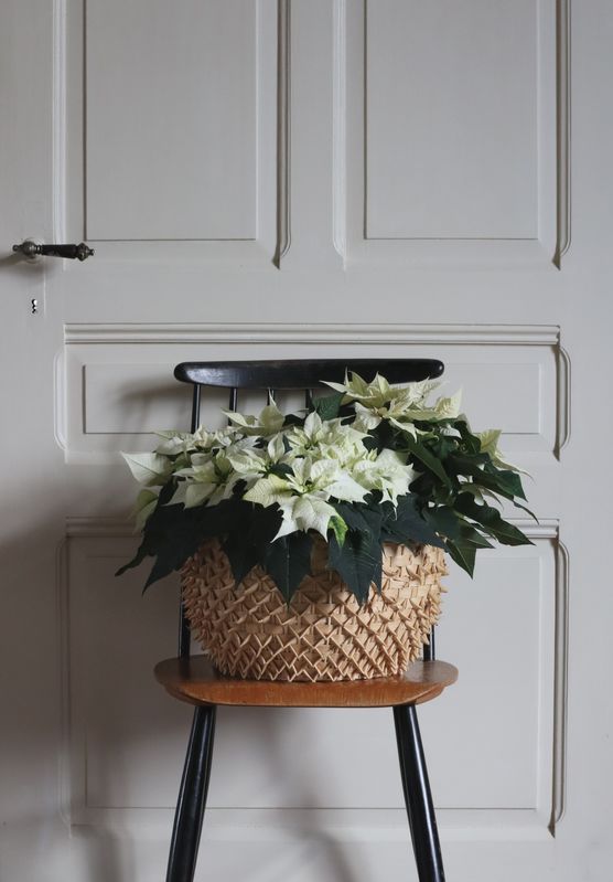 Bei ihm scheiden sich Bei ihm scheiden sich