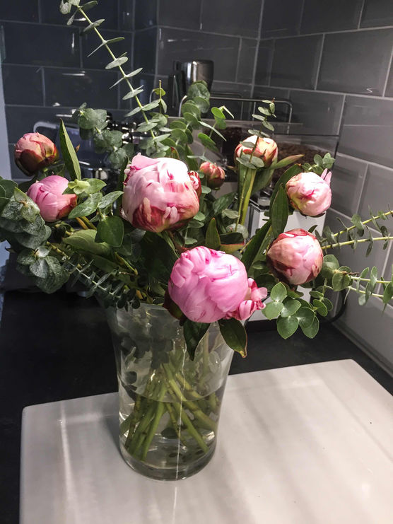 Bild von littleprincess Bild von littleprincess