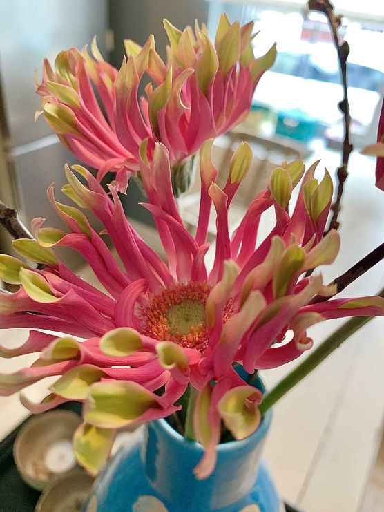 Bild von Lise W. Bild von Lise W.