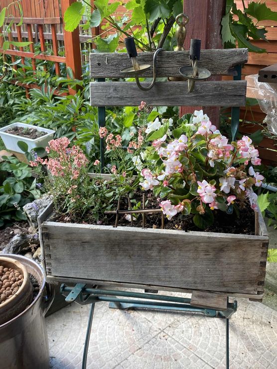 Bild von Annele Bild von Annele