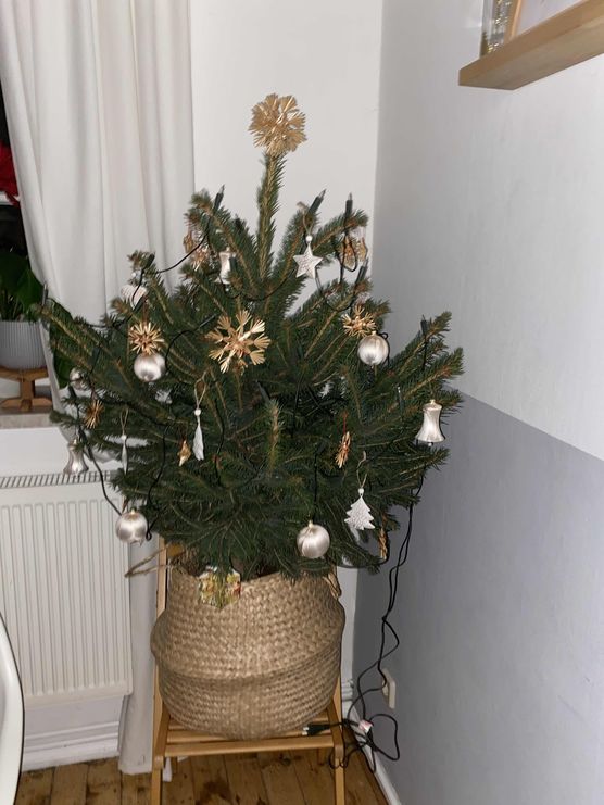 Bild von Annele Bild von Annele