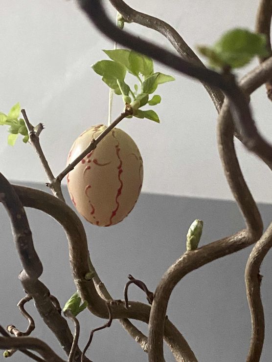 Bild von Annele Bild von Annele