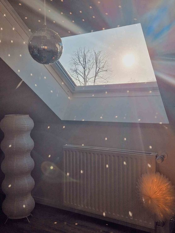 Bild von Aileen_M Bild von Aileen_M
