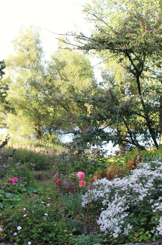 Ich bin begeistert von Ich bin begeistert von