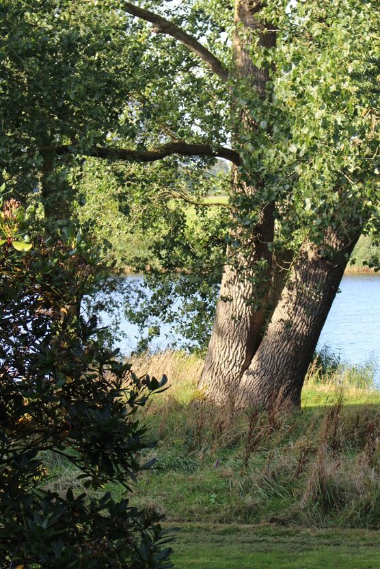 Noch einmal wunderschöner Sonnenschein! Noch einmal wunderschöner Sonnenschein!
