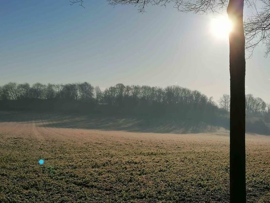 Bild von Veronika mit Ludwig Bild von Veronika mit Ludwig
