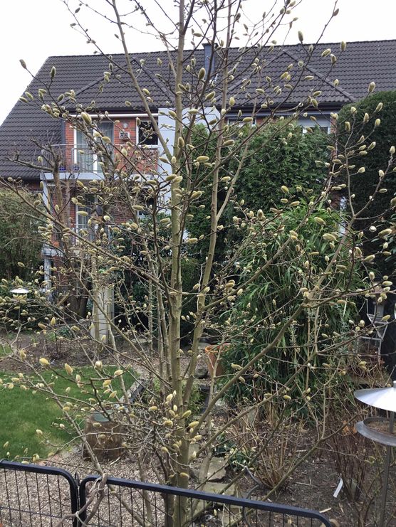 Bild von Veronika mit Ludwig Bild von Veronika mit Ludwig