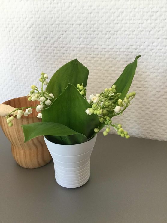 Bild von Veronika mit Ludwig Bild von Veronika mit Ludwig