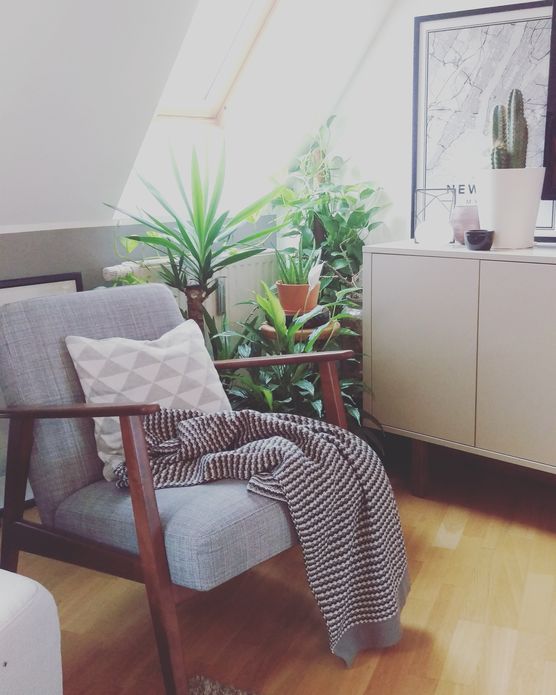 urbanjungle urbanjungle