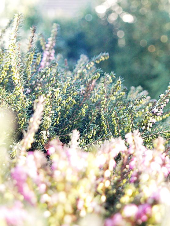 Dem Namen gerecht werden Dem Namen gerecht werden