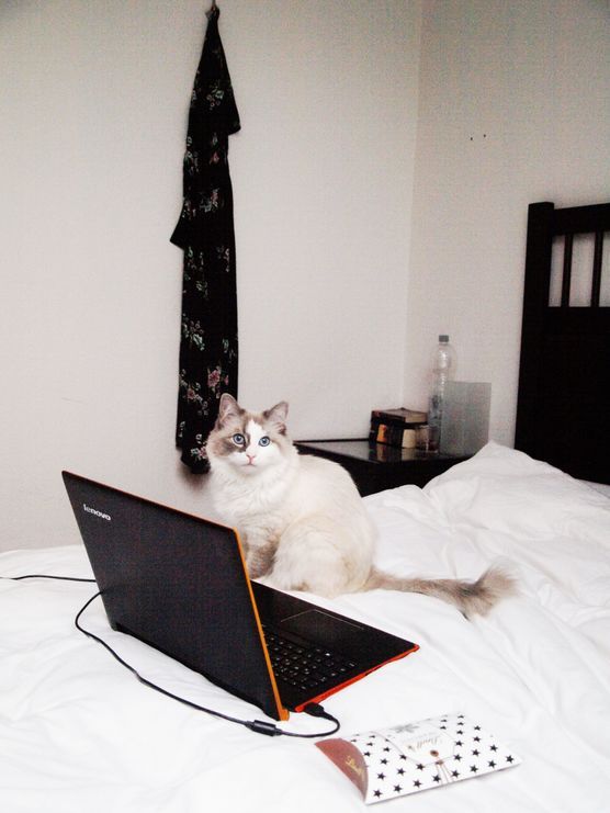 Schokolade + Lieblingserie Schokolade + Lieblingserie