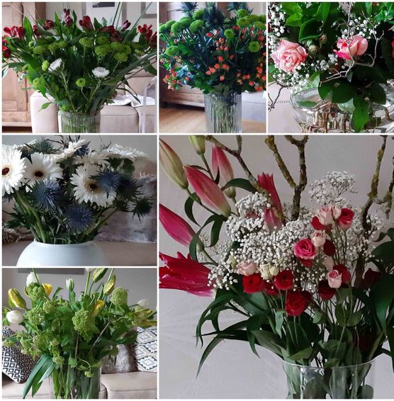 Bild von Nr15 Bild von Nr15