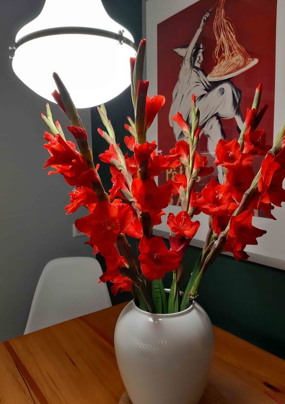 Bild von Nr15 Bild von Nr15