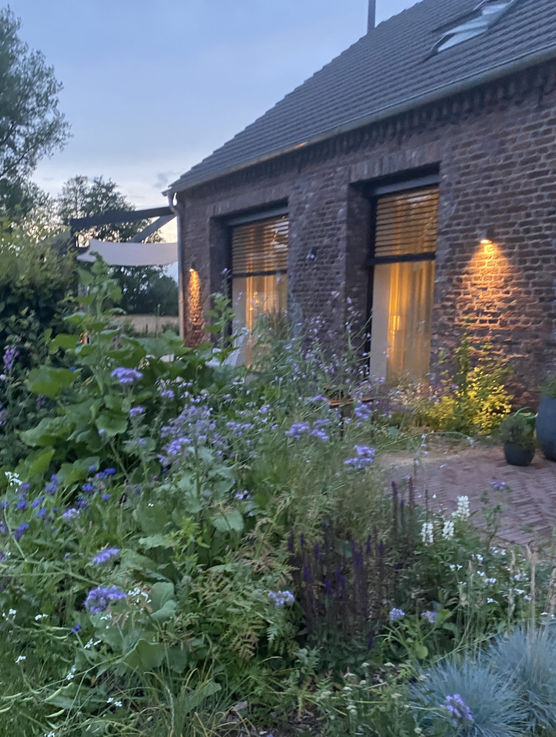 Das Staudenbeet von dieser Das Staudenbeet von dieser