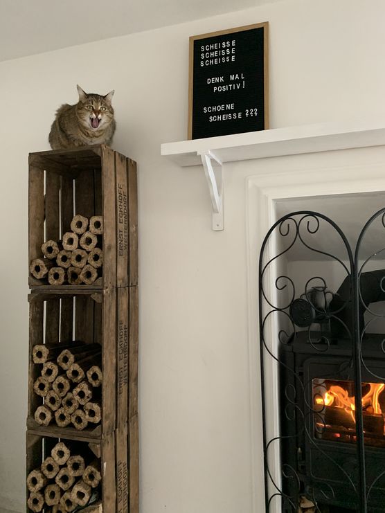 Lui lacht auch über Lui lacht auch über