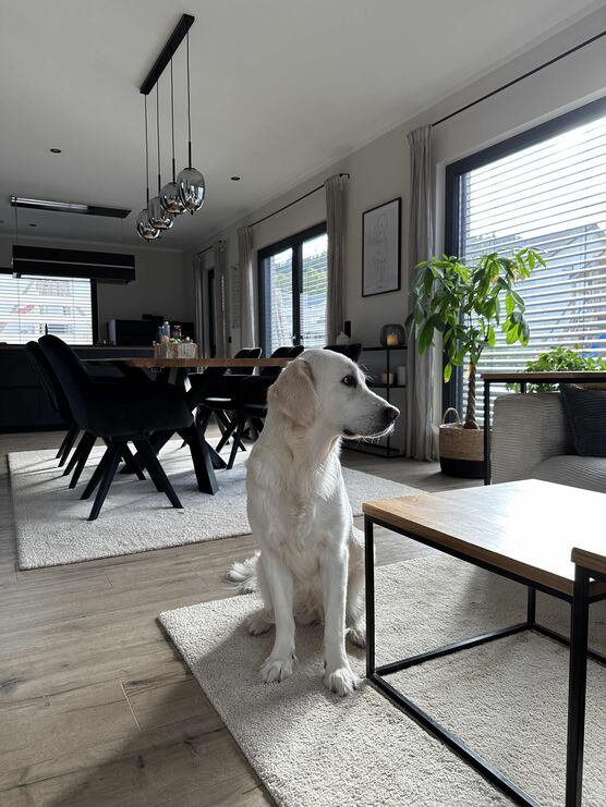 Bild von Cozynized Bild von Cozynized