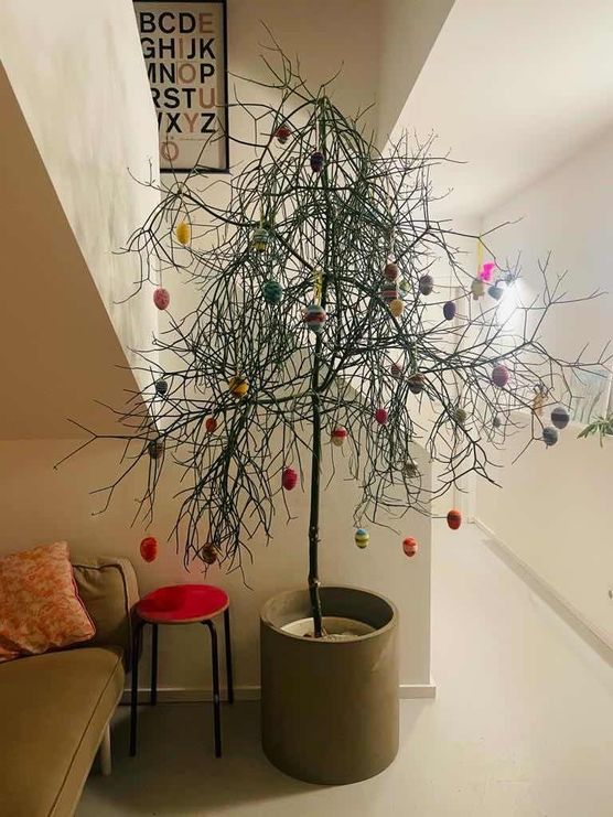 Bild von Friepi Bild von Friepi