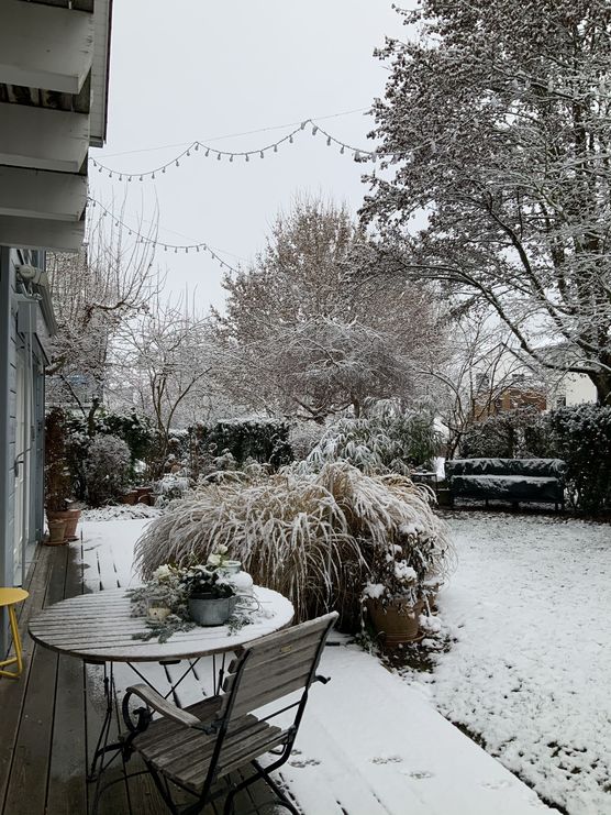 Garten im Winterschlaf....es schneit Garten im Winterschlaf....es schneit