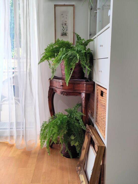 Ich konnte nicht dran Ich konnte nicht dran