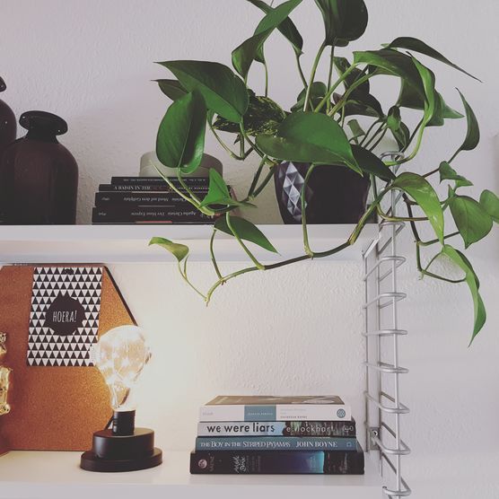 Shelfie und Pflanzenliebe Shelfie und Pflanzenliebe