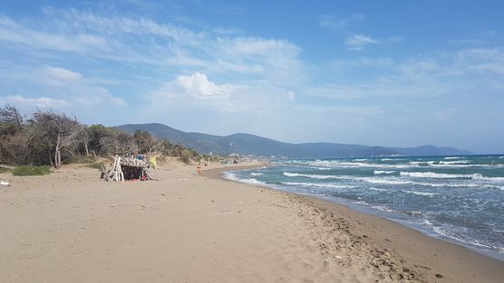Naturbelassener Strand im Naturschutzgebiet Naturbelassener Strand im Naturschutzgebiet