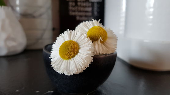 Die armen lagen abgerissen Die armen lagen abgerissen