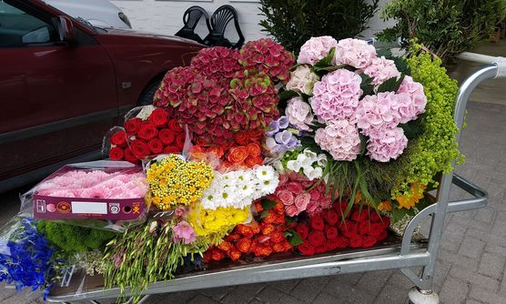 Heute morgen einkauf beim Heute morgen einkauf beim