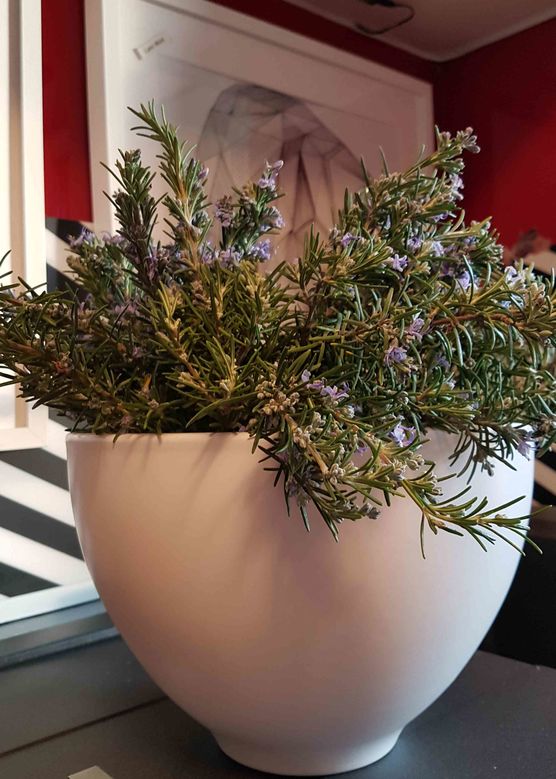 Bild von sabine66 Bild von sabine66