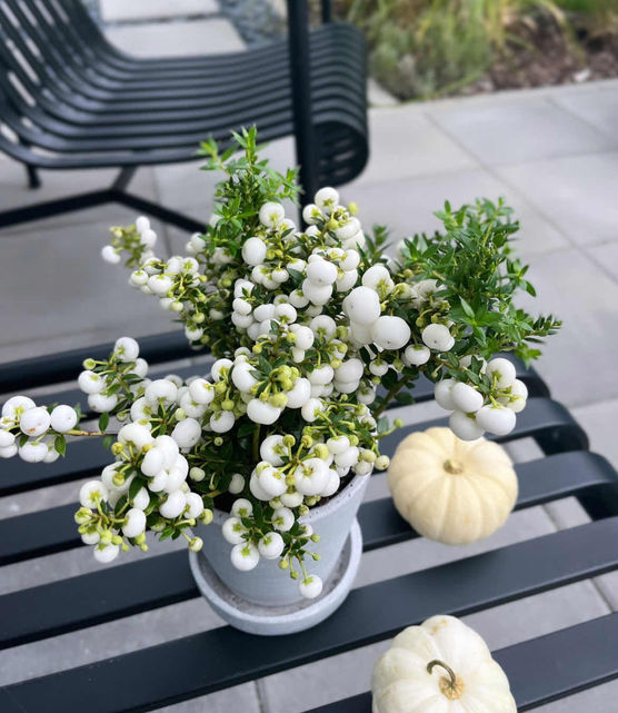 Bild von Bettina Ur Bild von Bettina Ur