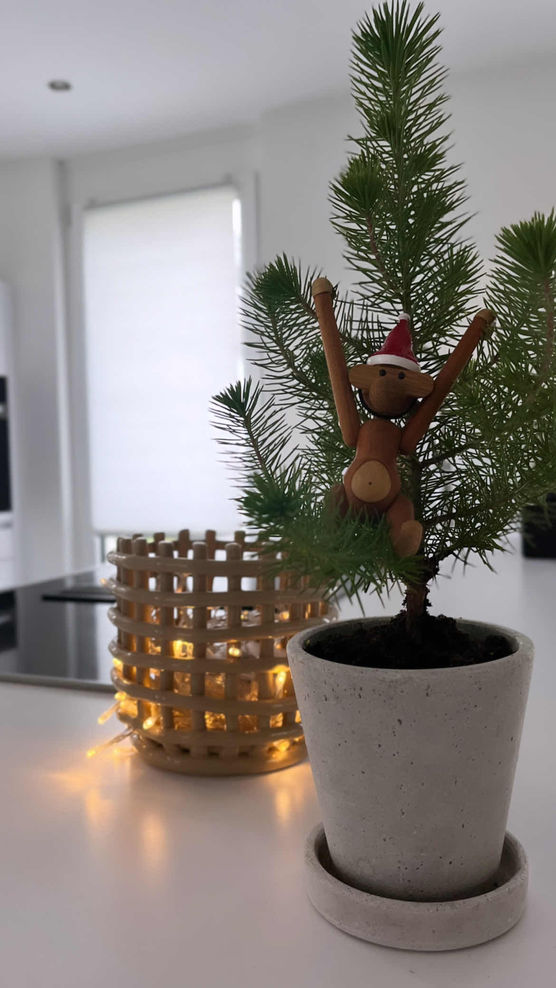 Bild von Bettina Ur Bild von Bettina Ur