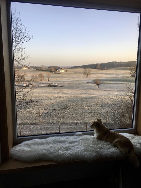 Bild von Bella Vita Bild von Bella Vita