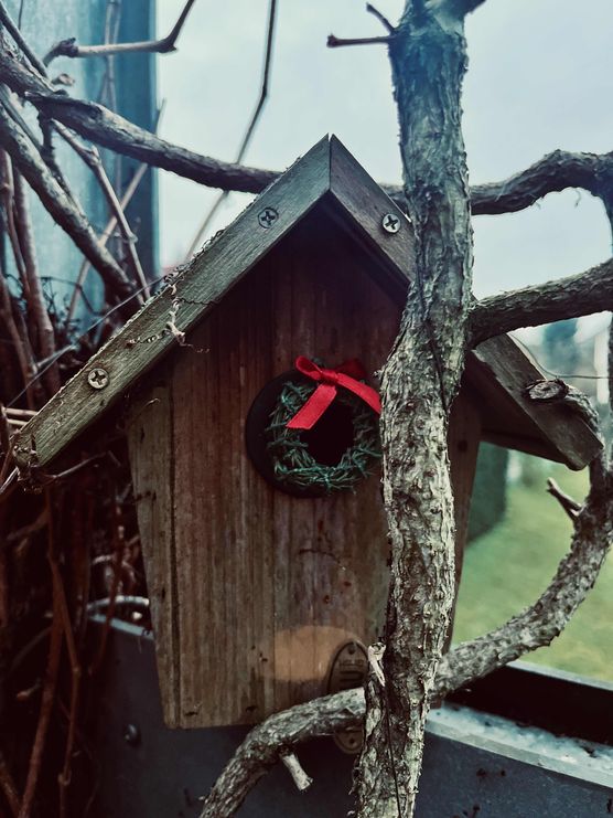 Bild von Bella Vita Bild von Bella Vita