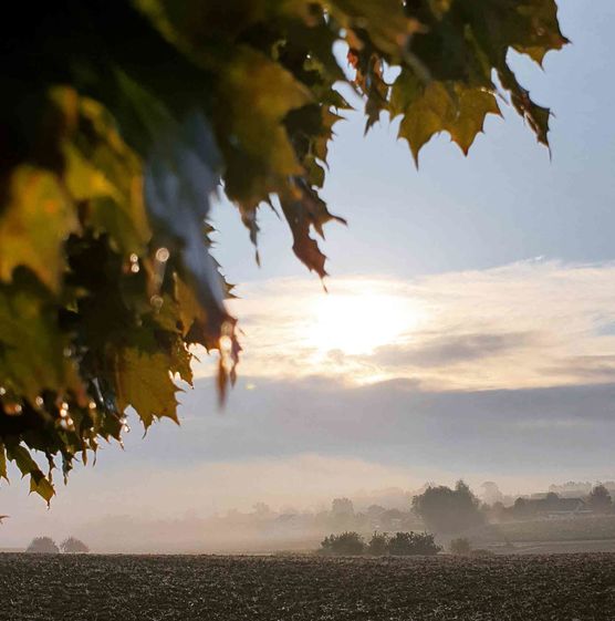 Bild von twinklinstar Bild von twinklinstar